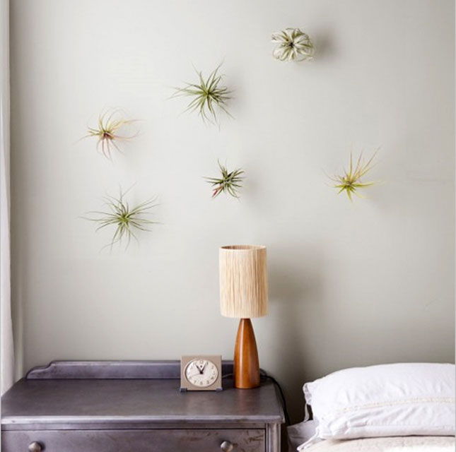 Vertical Garden Tool