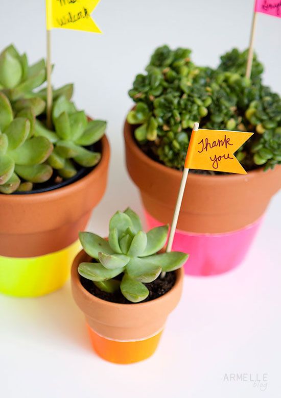 Neon Dipped Succulent Pots