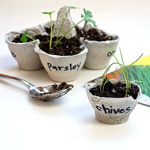 Egg Carton Plant Pots