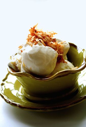 Coconut Frozen Yogurt