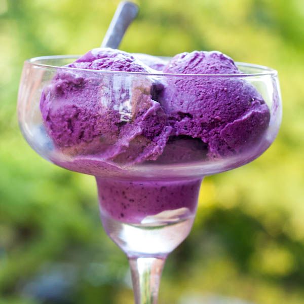 Blueberry and Blackberry Frozen Yogurt