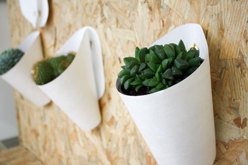 Opot Wall Planter