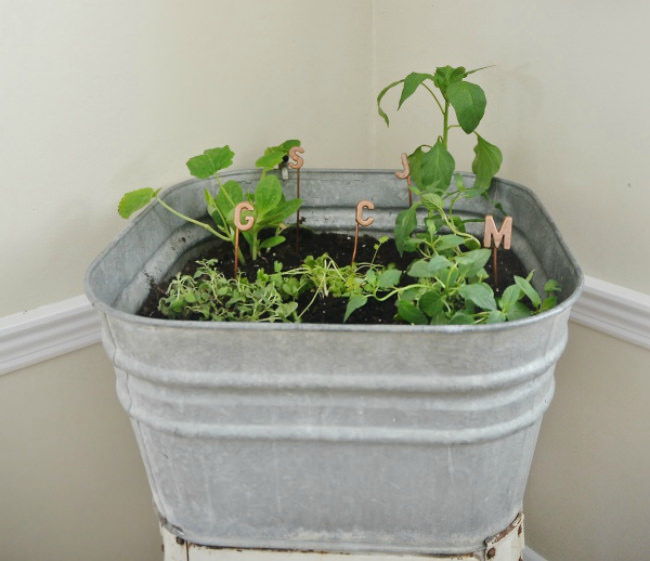 Wash Tub Garden