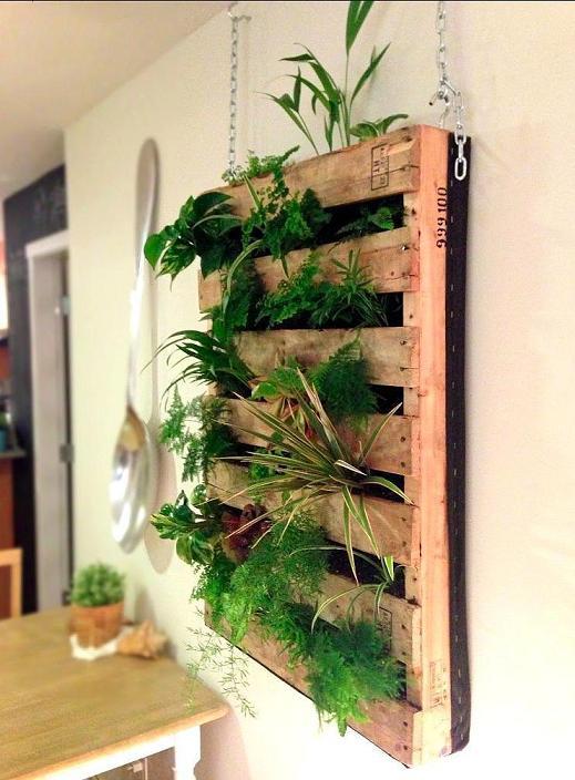 Pallet Living Wall