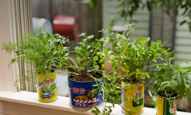 Tin Can Planters