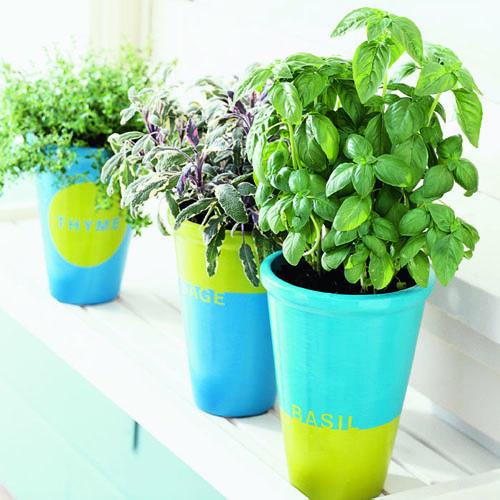 Terra-cotta Dresses Up