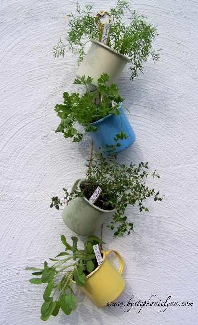 Hanging Coffee Cup Garden