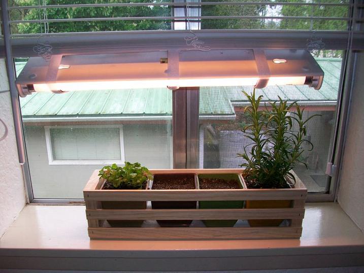Simple Indoor Garden