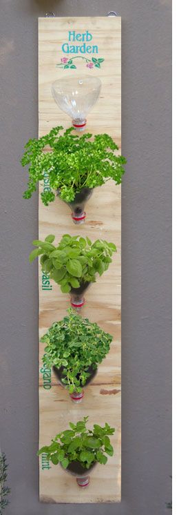 Hanging Plastic Bottle Planters