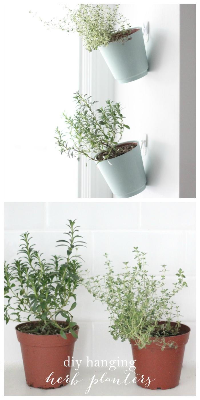 Indoor Hanging Planters