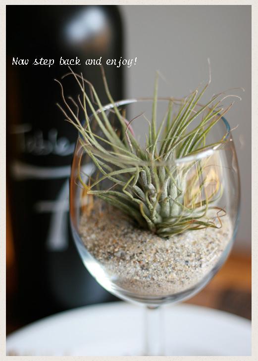 Airplant Table Setting