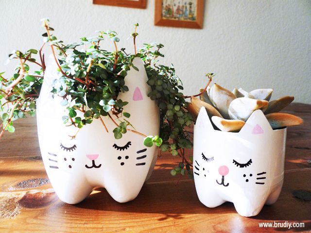 Cat Plant Pot Made from a Plastic Bottle
