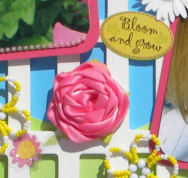 Bloom Ribbon Rose