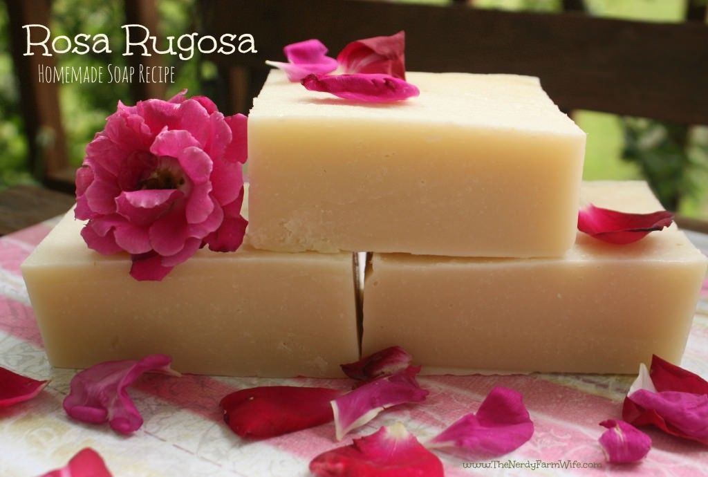 Rosa Rugosa Soap