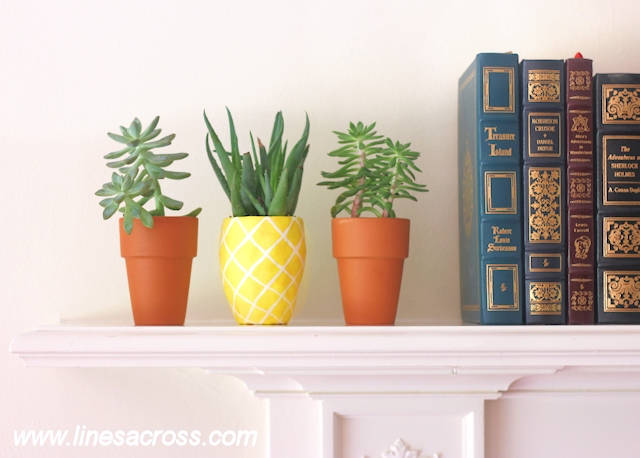 Succulent Pineapple Planter