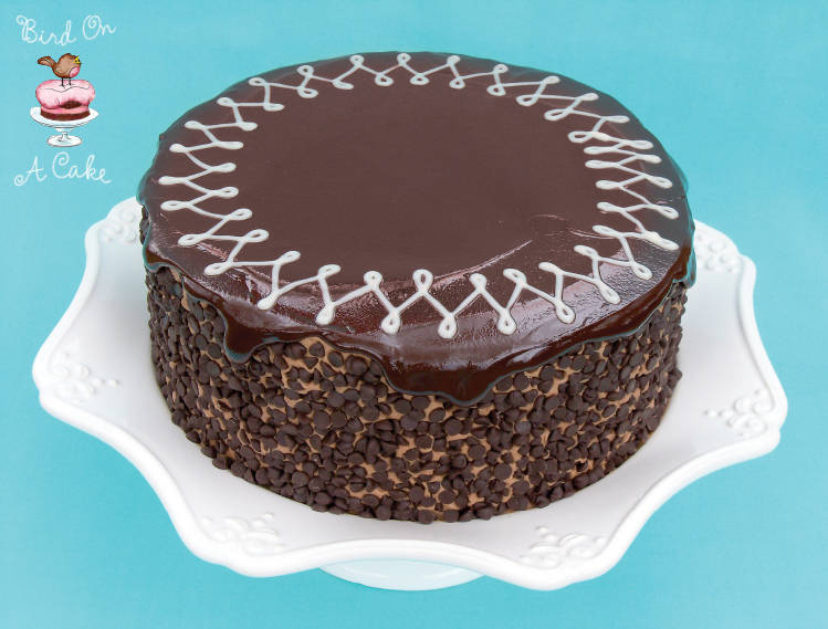 Chocolate Chip Cheesecake