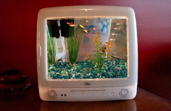 From old iMac to an aquarium