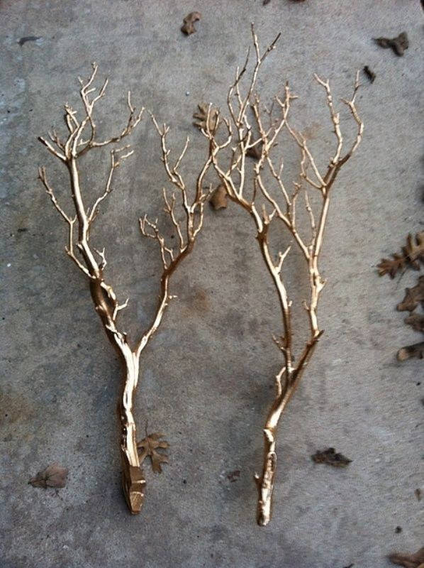 Spray on Dead Branches