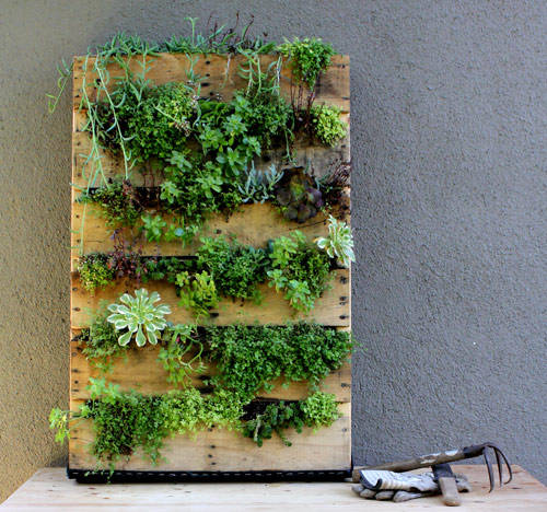 Recycled Pallet Vertical Garden