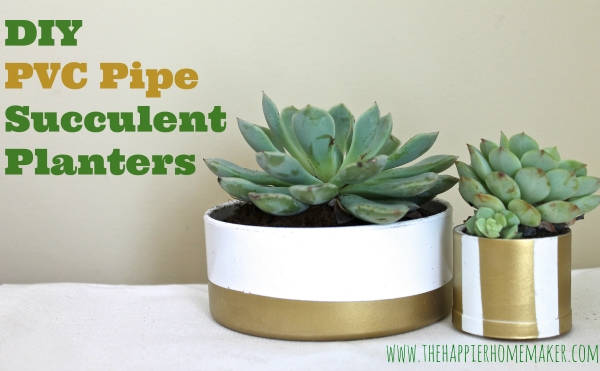 PVC Pipe Succulent Planters