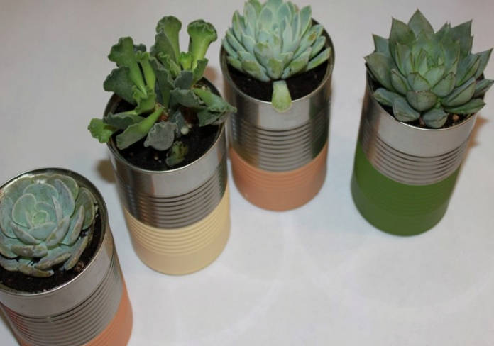 Tin Can Succulent Planter