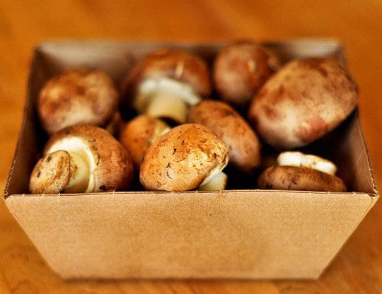 Two methods of storing mushrooms