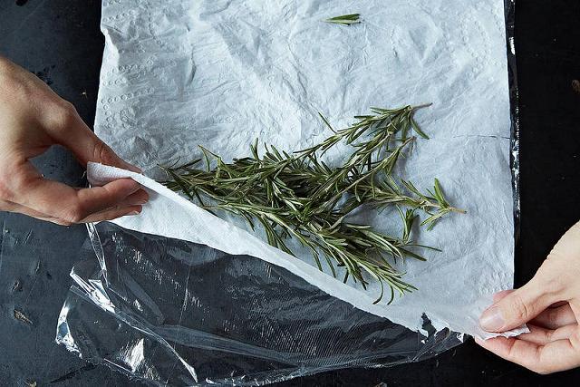 Best Ways to Store Fresh Herbs