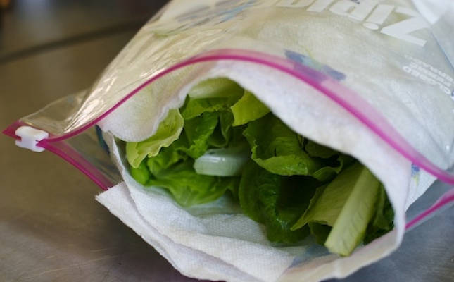 A Recipe for Keeping Lettuce Fresh and Crisp