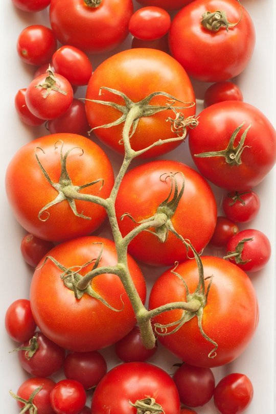The Best Place to Store Tomatoes...and Why