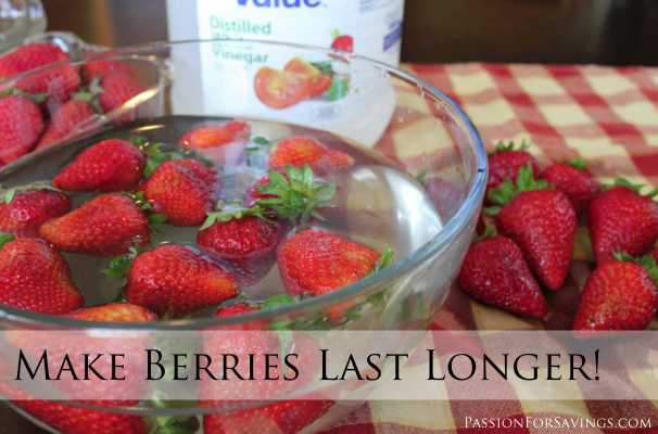 Make berries last longer