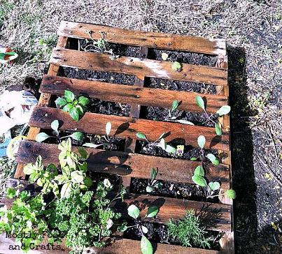 Pallet Garden