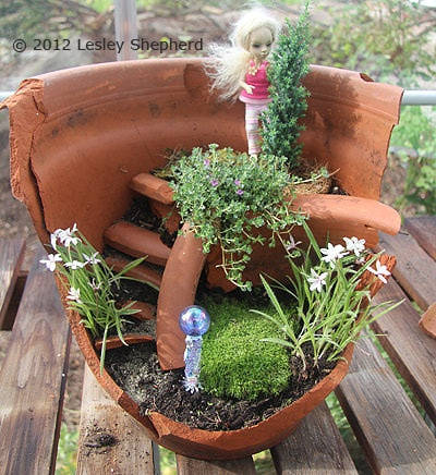 Living Miniature Garden
