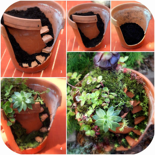 Fairy Gardening with Succulents
