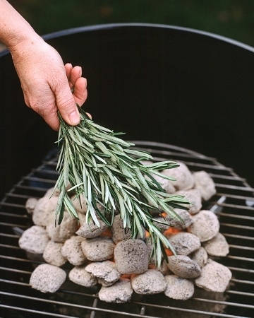 Put the rosemary right on the coals
