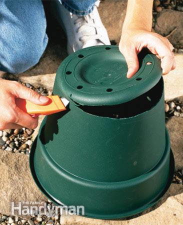 Stop Invasive Plants From Taking Over Your Garden