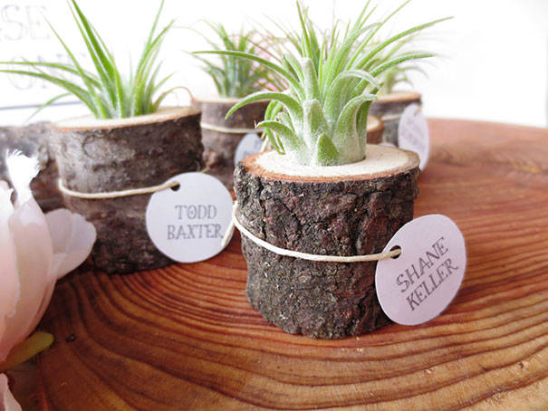 Small Stump Planter