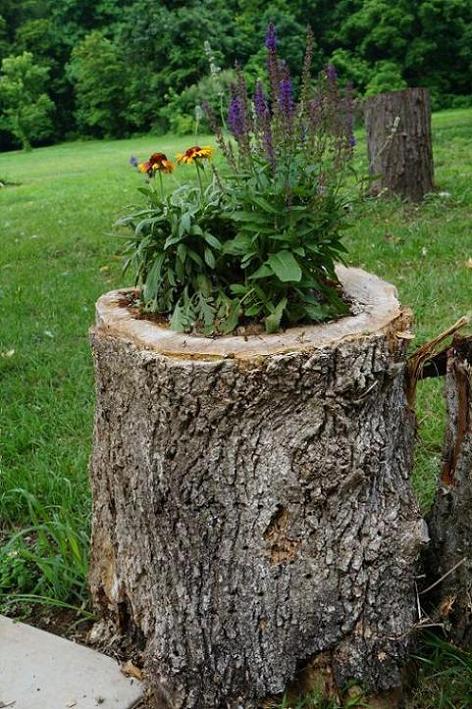 A Clever Kind of Planter