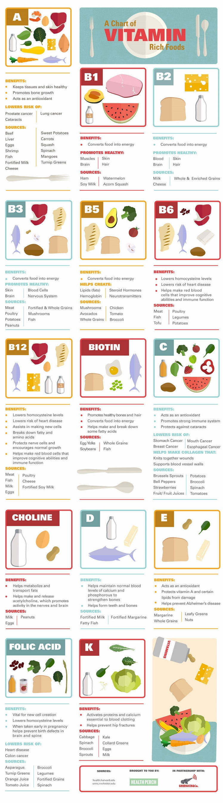 Understanding the Vitamins in Your Food