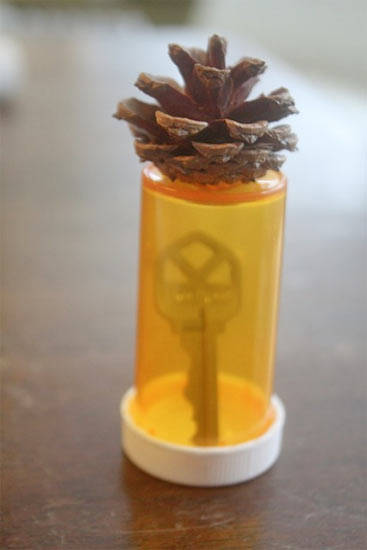Pinecone Hide-a-Key