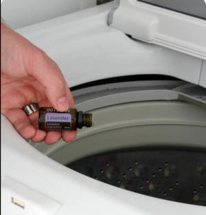 Add Lavender oil to your linens rinse cycle