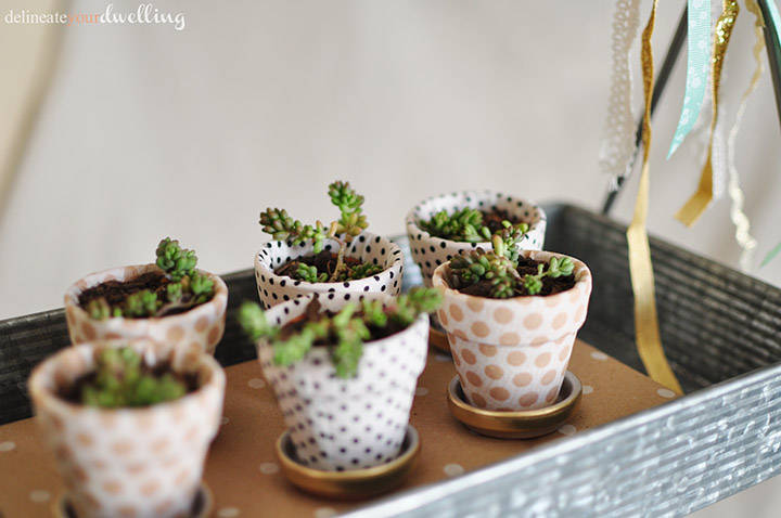 Miniature Succulent Pots
