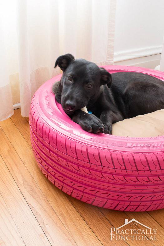 Tire Dog Bed