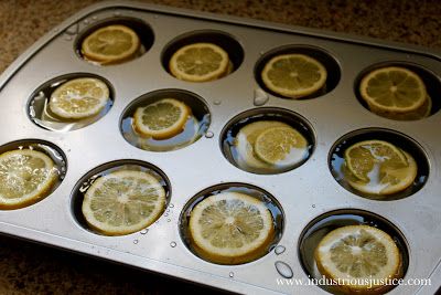 Lemon and Lime Ice Cubes