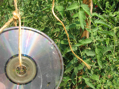 Hang a few in your garden