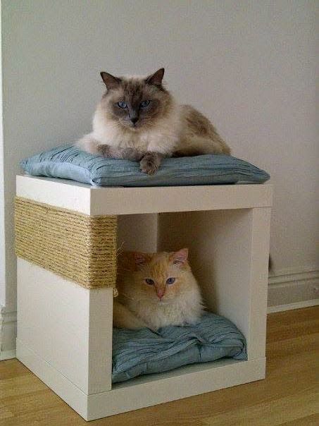 Double-Decker Cat Snug and Scratch Post