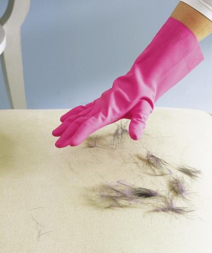 Use Rubber Glove as Pet Hair Remover