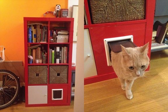 Shelving unit + total kitty litter disguise
