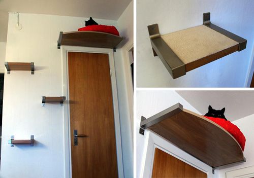 Shelves Cat Bed
