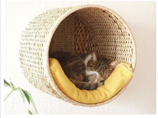 Wall Basket Cat Bed