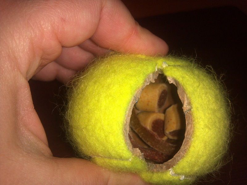 Homemade Tennis Ball Treat Dispenser